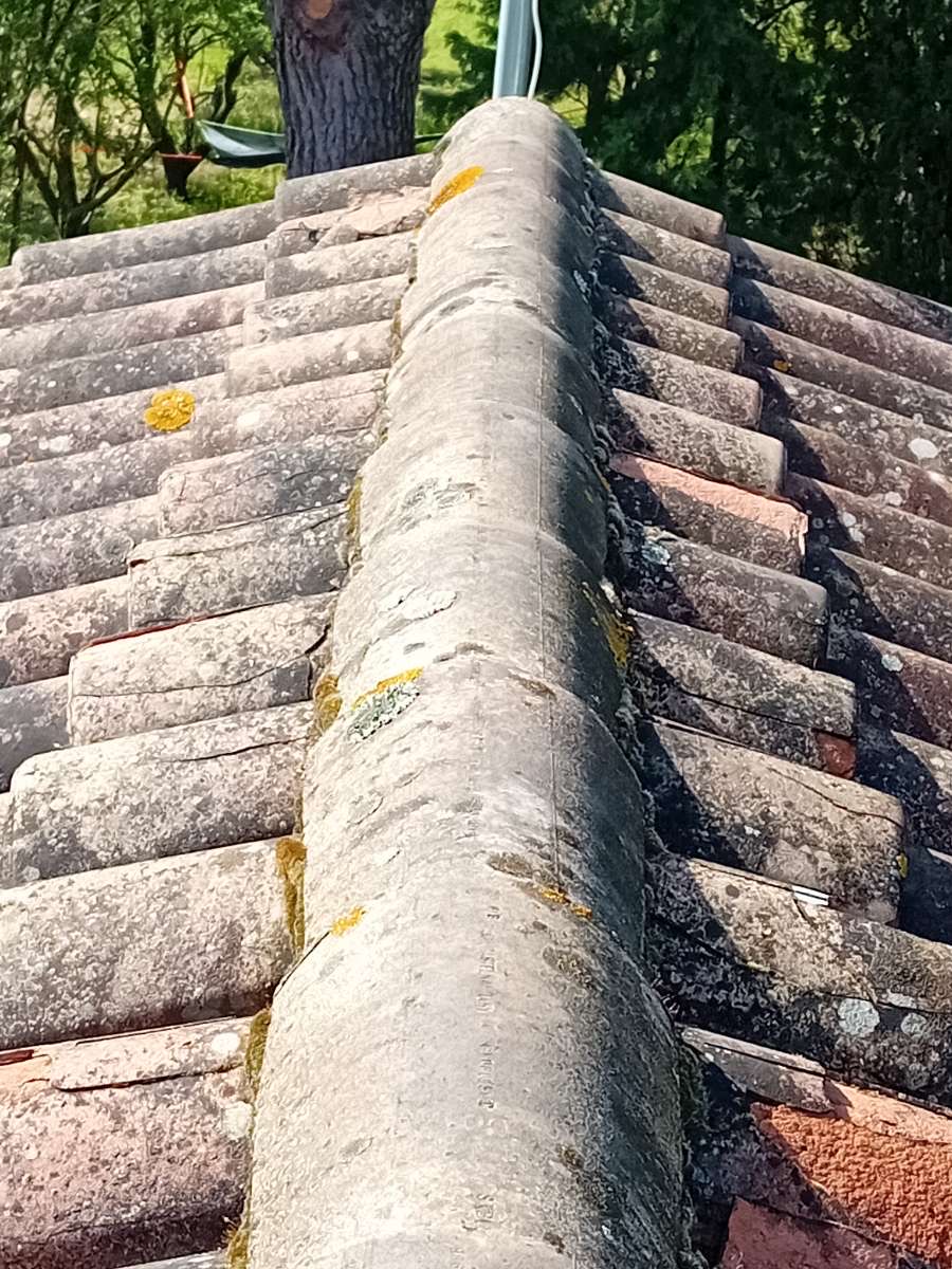 Image 2 de Nettoyage toiture